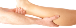 Pinnacle Limbs